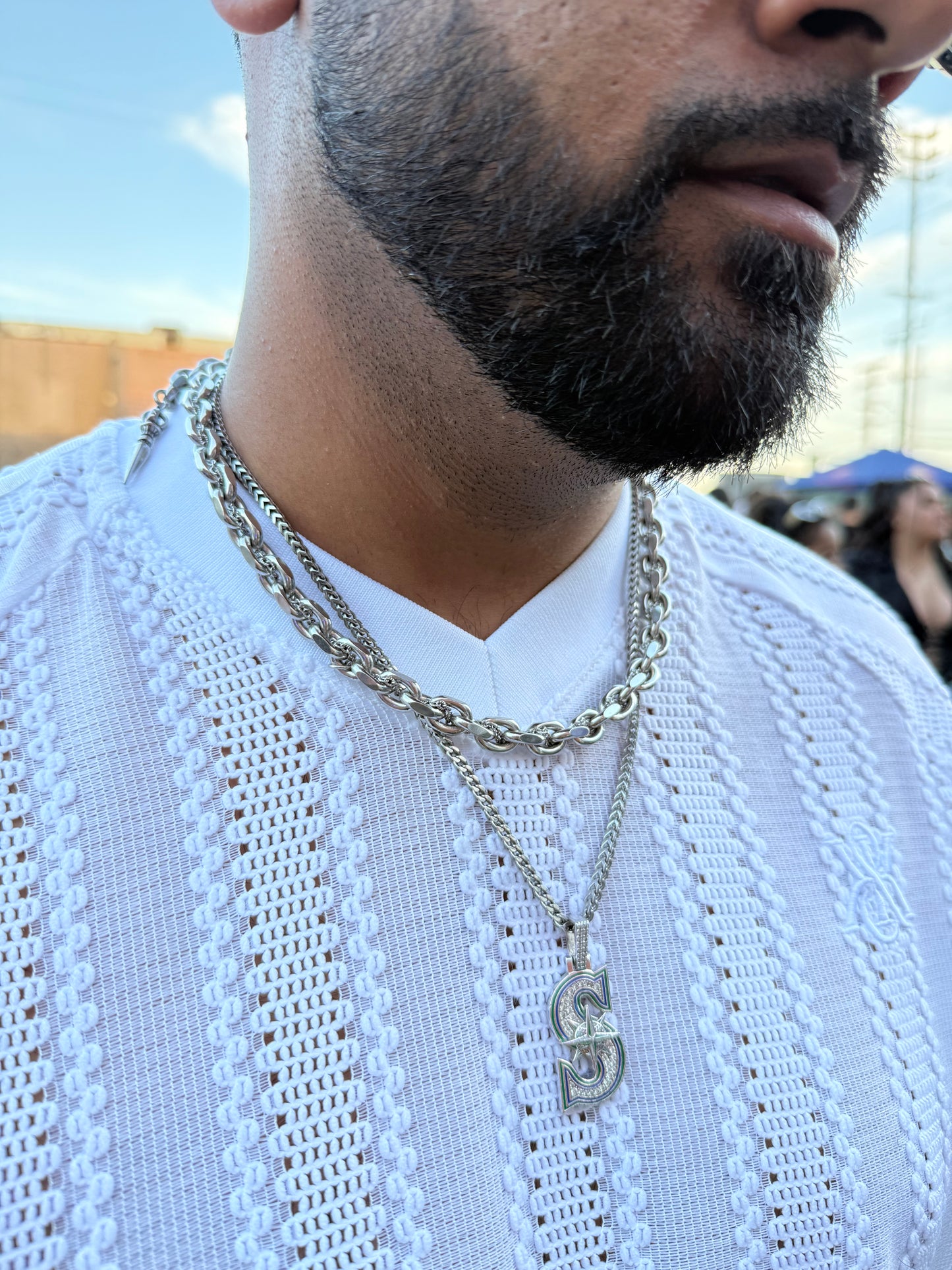 Silver Snake Scales Necklace