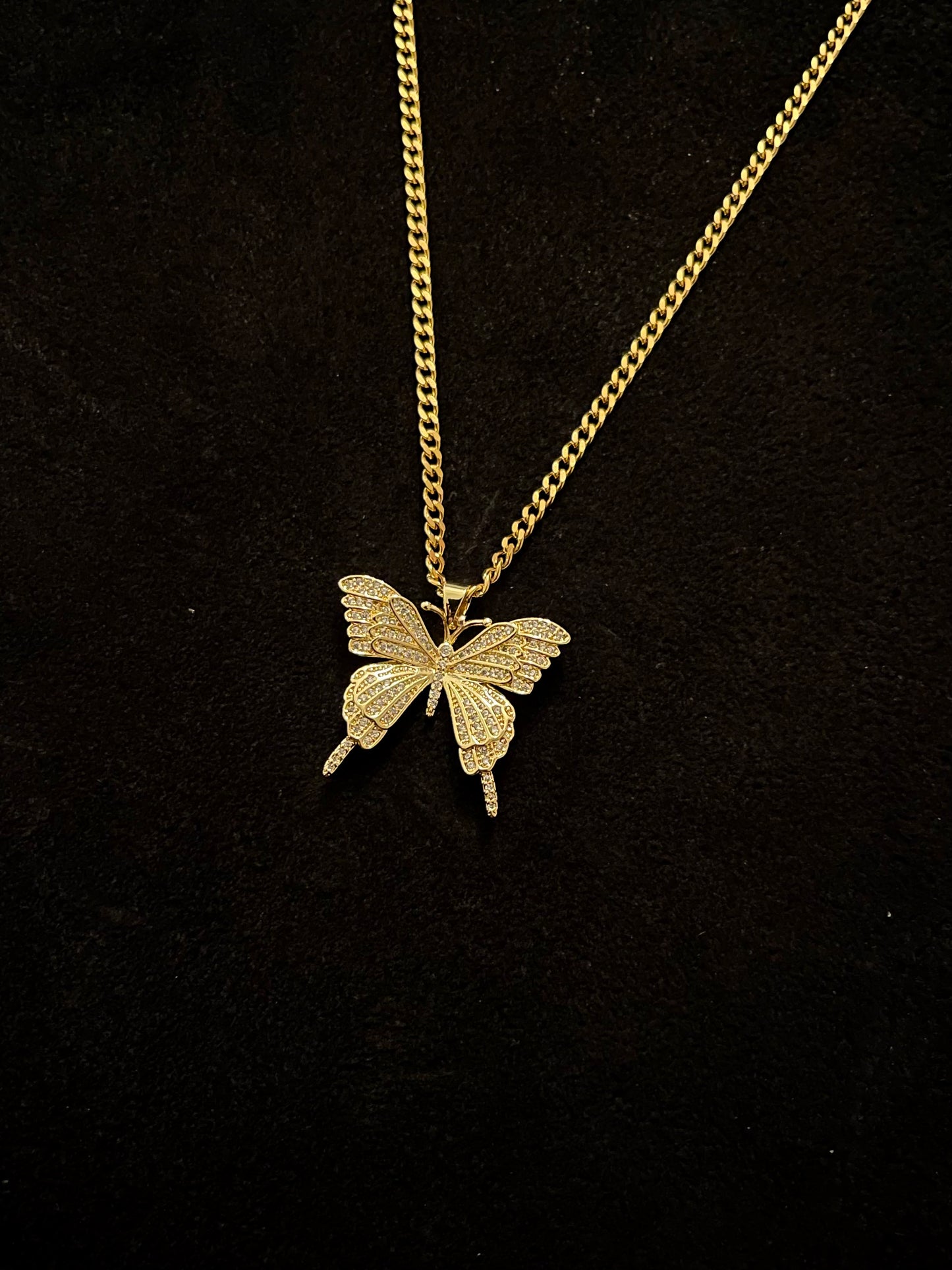 Golden Swallowtail