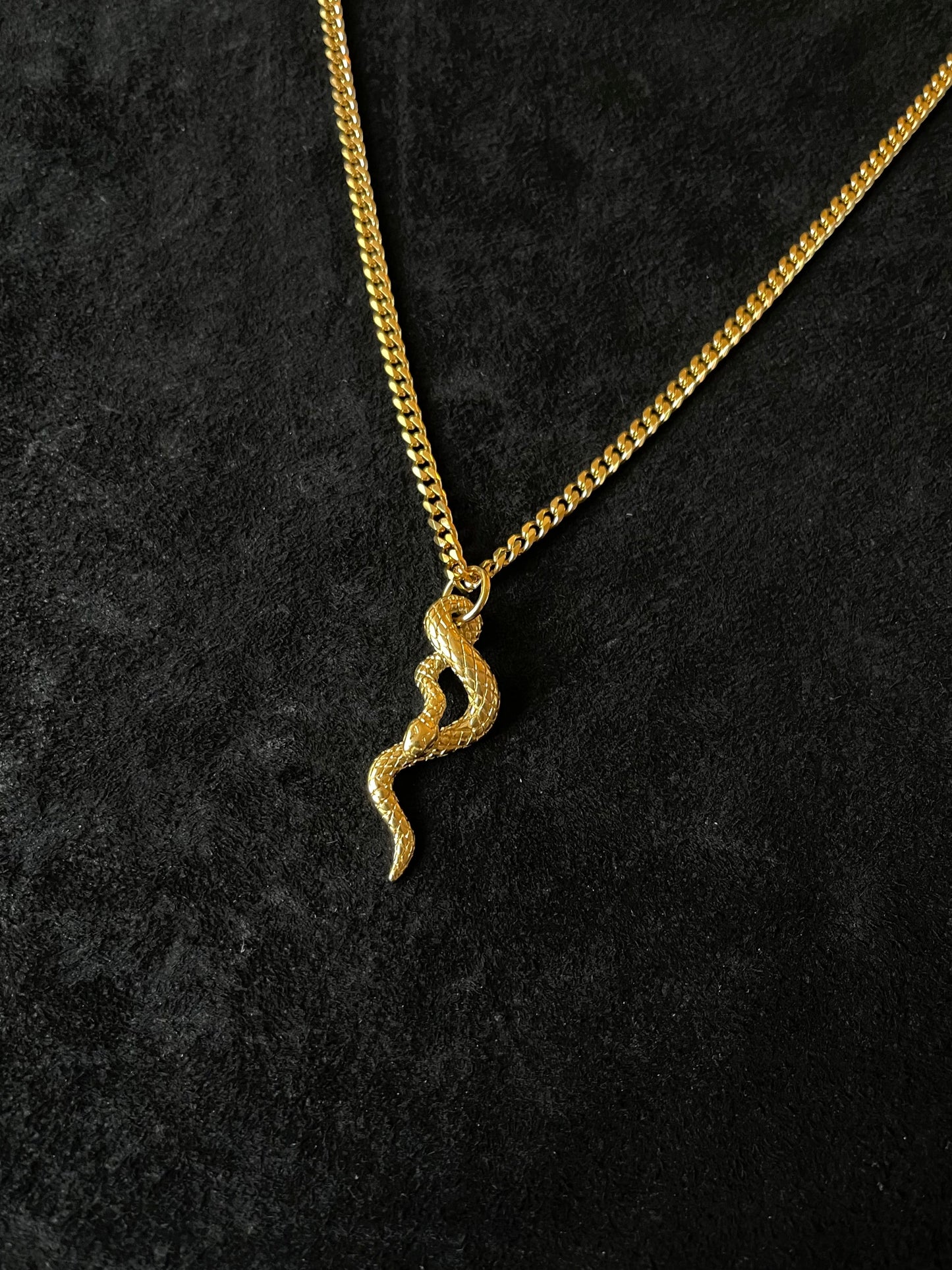 Golden Mamba